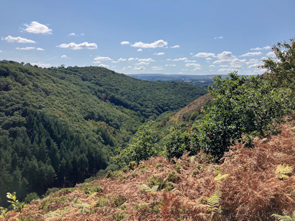 view